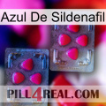 Sildenafil Blue 14